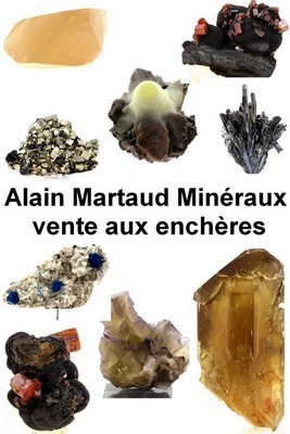 Vente aux enchères de minéraux sur eBay live France !